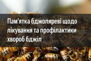 Пам'ятка бджоляреві щодо лікування та профілактики хвороб бджіл фото